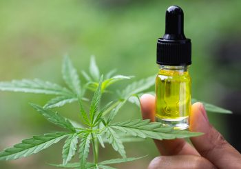 CBD oil from the best brands