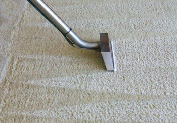 carpet cleaning service